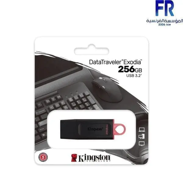 KINGSTON 256GB USB3.2 FLASH Drive