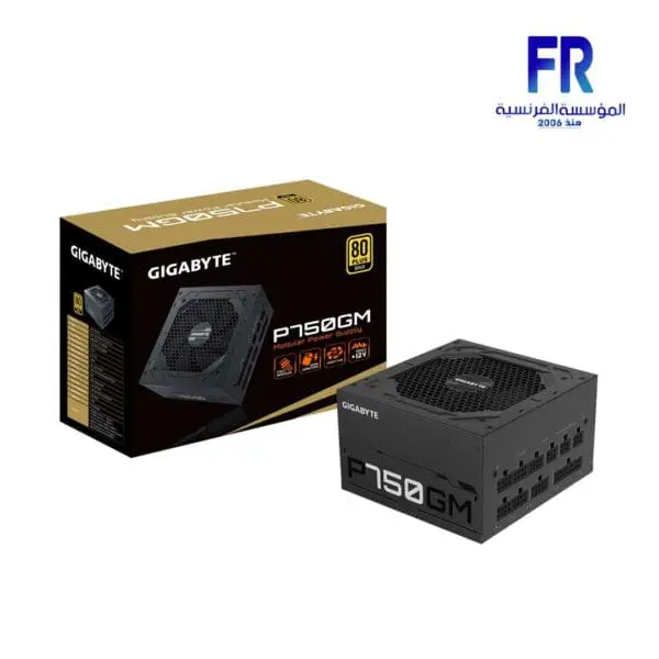 GIGABYTE P750GM 750W 80 PLUS Gold FULLY MODULAR POWER Supply