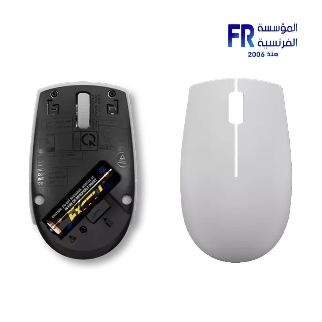 Lenovo 300 Arctic Grey Wireless Mouse