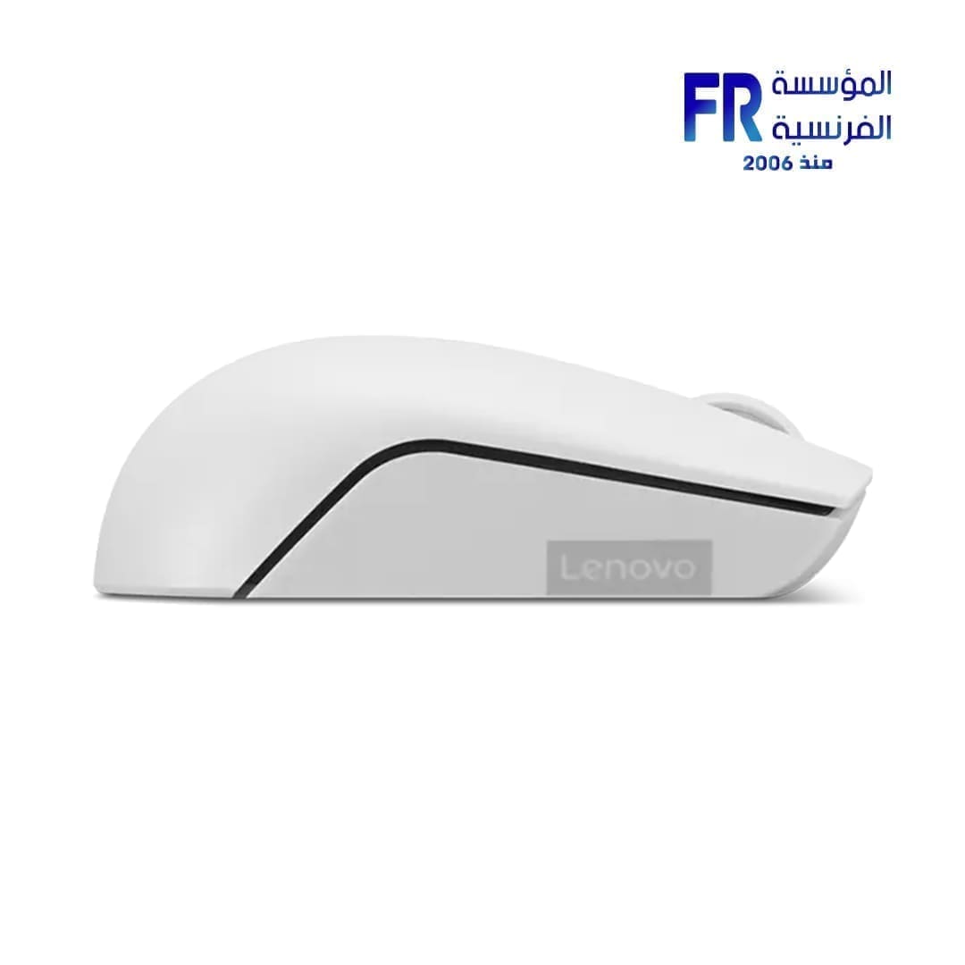 Lenovo 300 Cloud Grey Wireless Mouse