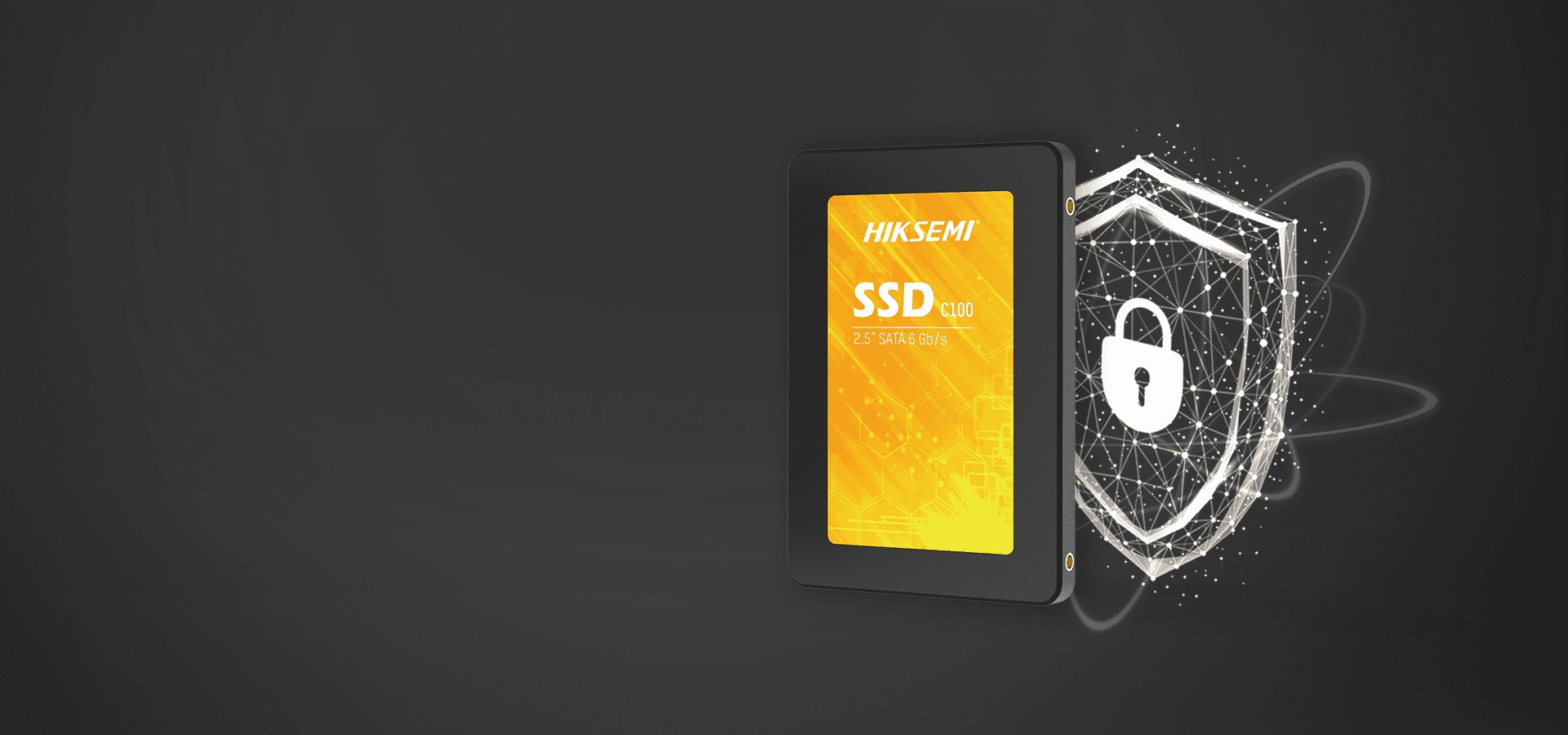 Hikvision C100 120Gb Internal Solid State Drive SSD