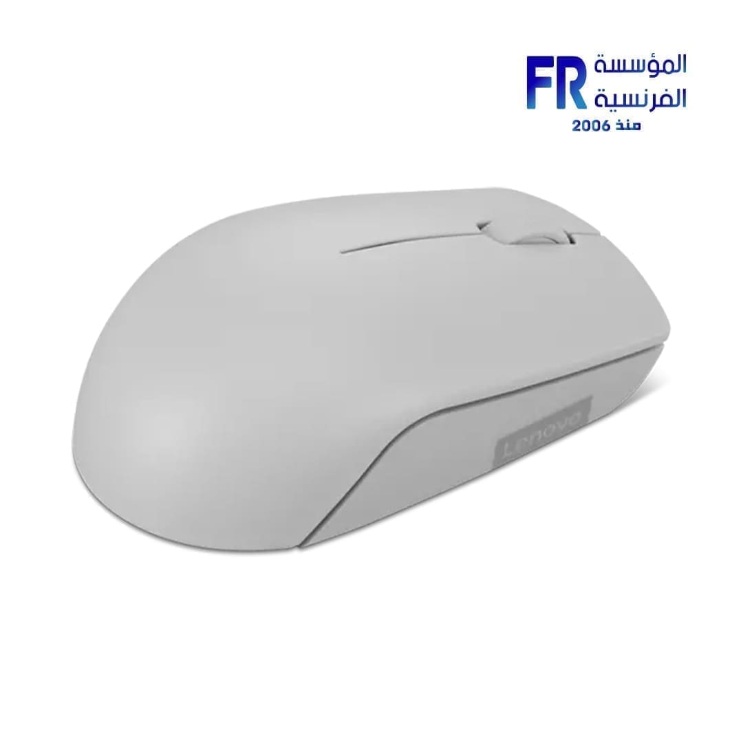 Lenovo 300 Arctic Grey Wireless Mouse