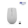 Lenovo 300 Arctic Grey Wireless Mouse