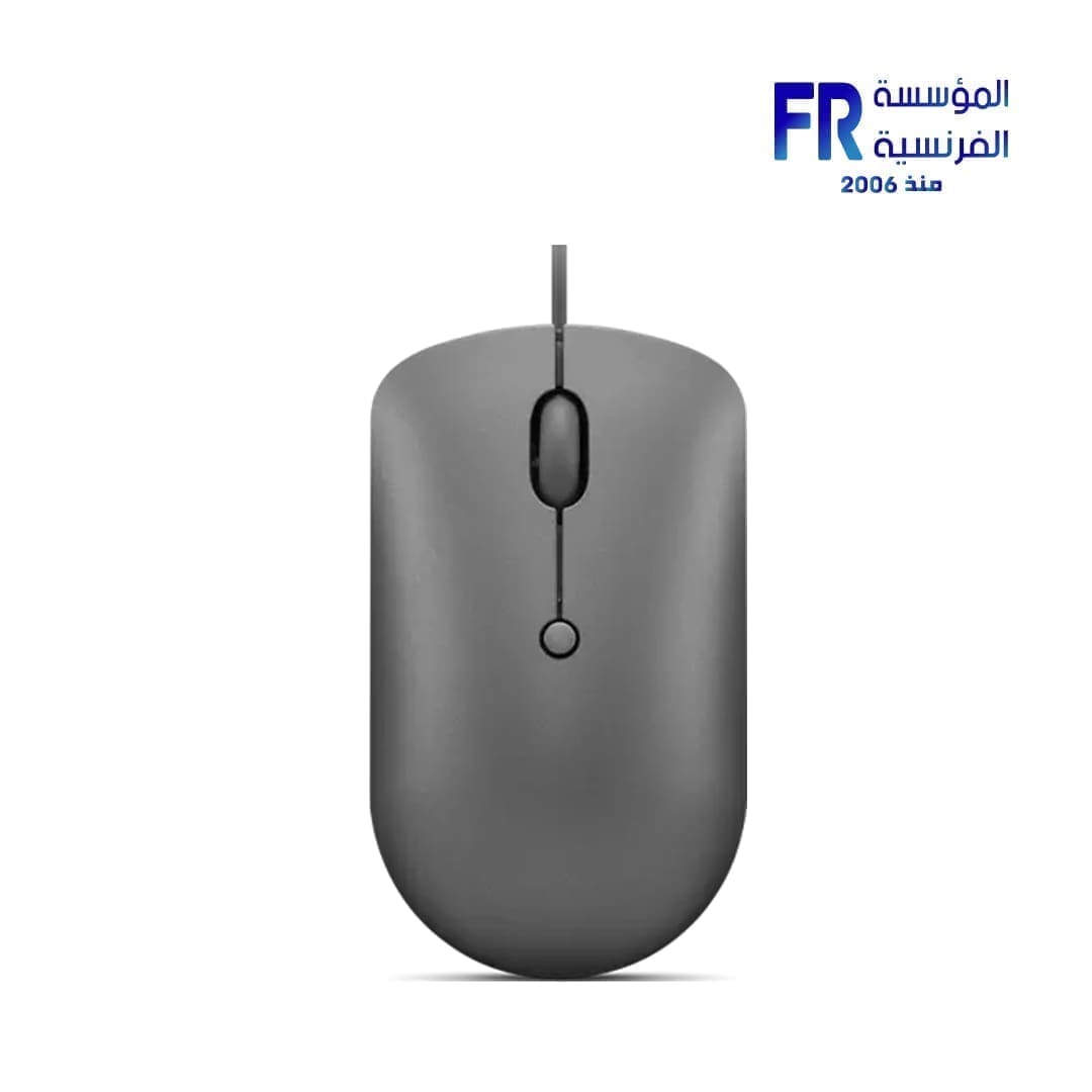 Lenovo 540 Storm Grey type C Wired Mouse