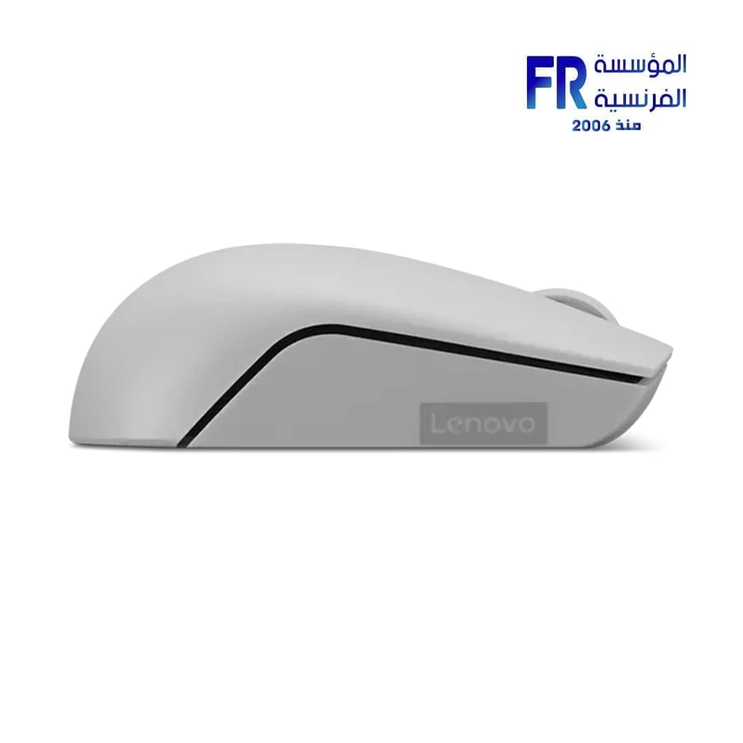 Lenovo 300 Arctic Grey Wireless Mouse