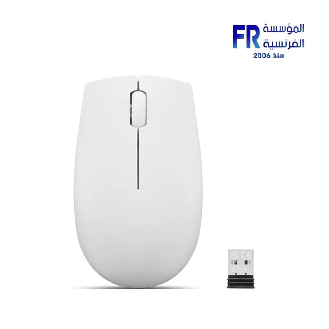Lenovo 300 Cloud Grey Wireless Mouse
