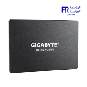 Gigabyte 256Gb Internal Solid State Drive SSD