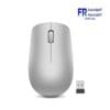 Lenovo 530 Platinum Grey Wireless Mouse