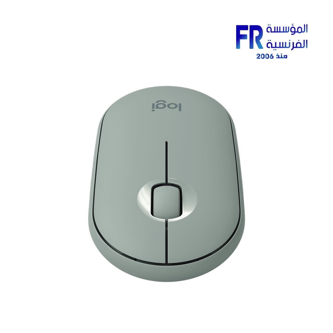 Logitech Pebble M350 Eucalyptus Wireless Mouse
