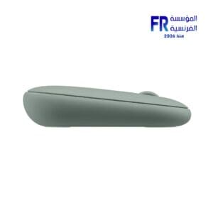 Logitech Pebble M350 Eucalyptus Wireless Mouse