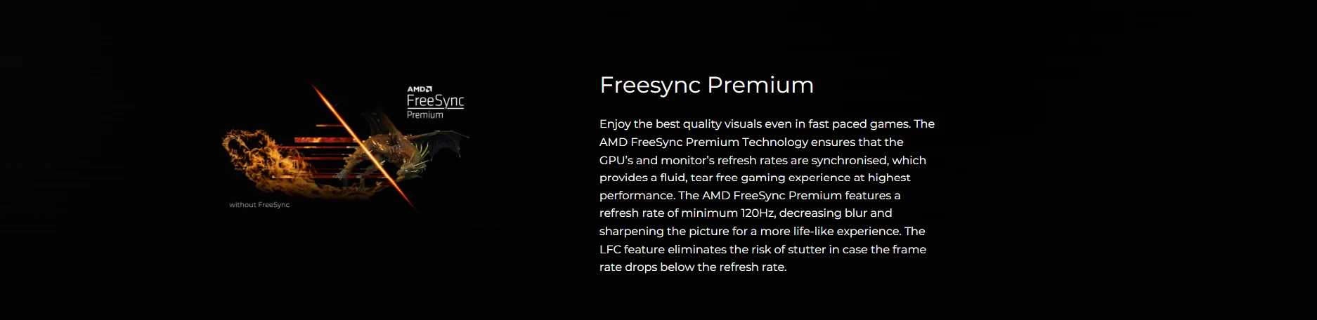AMD FreeSync Premium technology with 120Hz and LFC for tear-free gaming