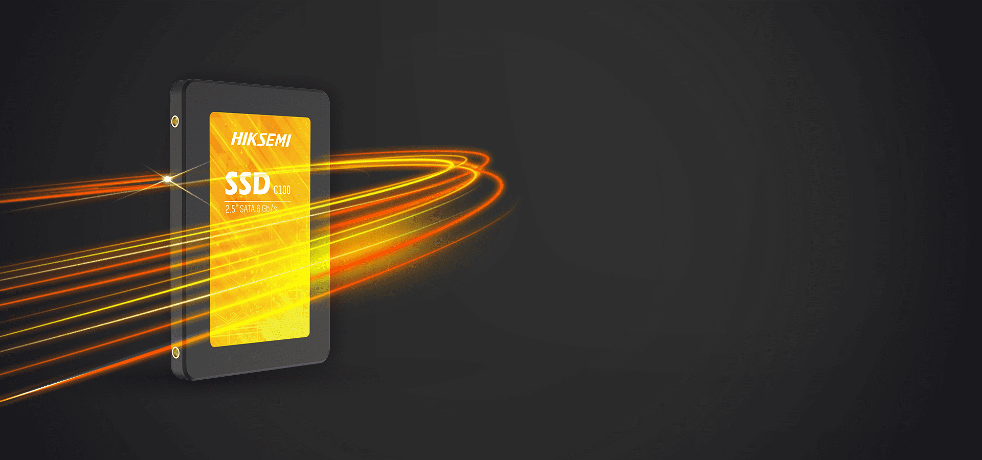 Hikvision C100 120Gb Internal Solid State Drive SSD