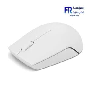 Lenovo 300 Cloud Grey Wireless Mouse