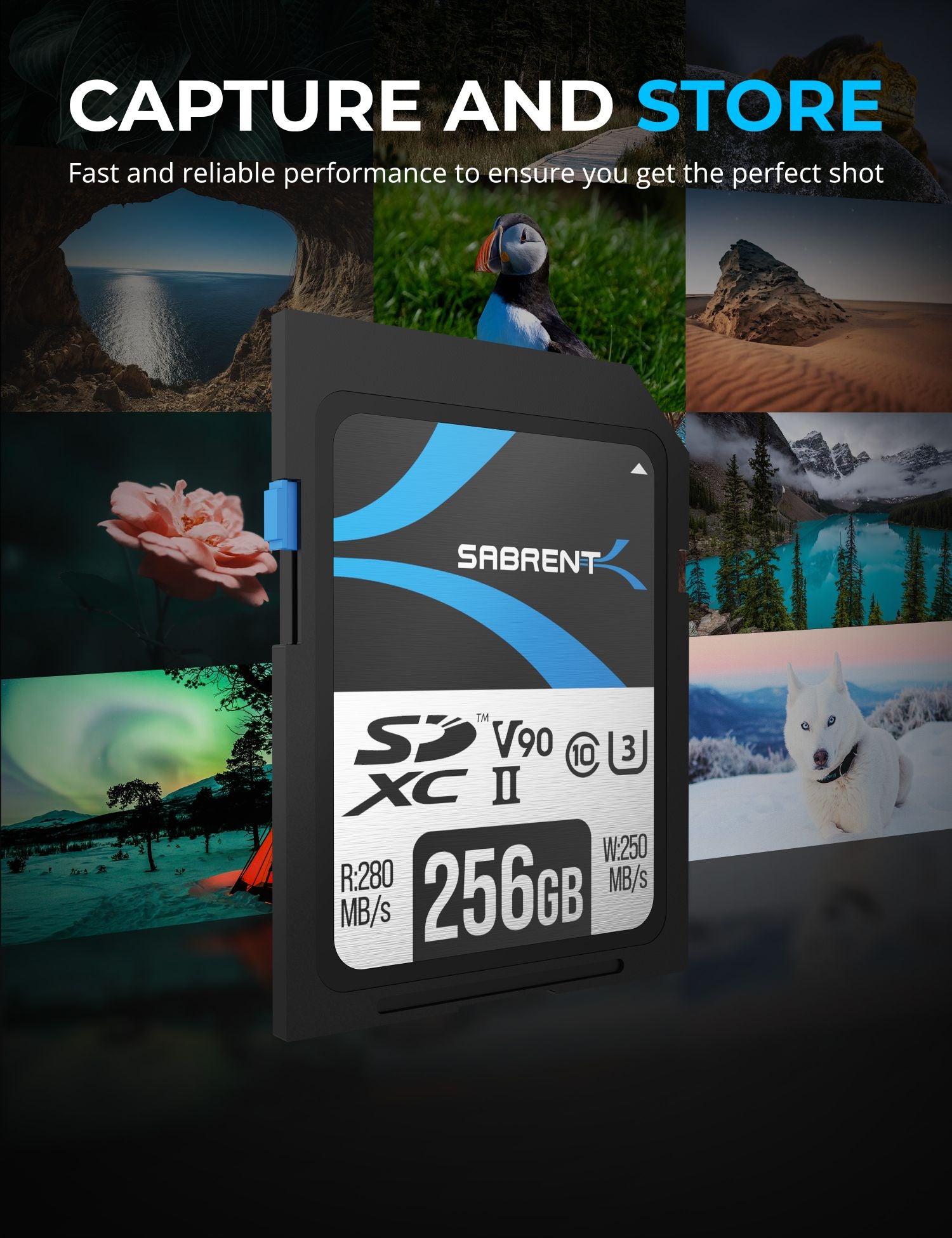 Sabrent Rocket V90 256GB SD card shown with photography imagery