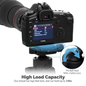 Sabrent TP-CF69 tripod ball head and camera mounting detail