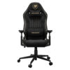 COUGAR Explore Royal F gaming chair, front view