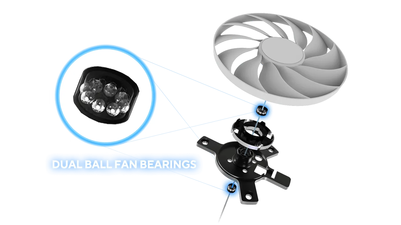 Dual Ball Bearings
