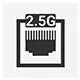 2.5G LAN