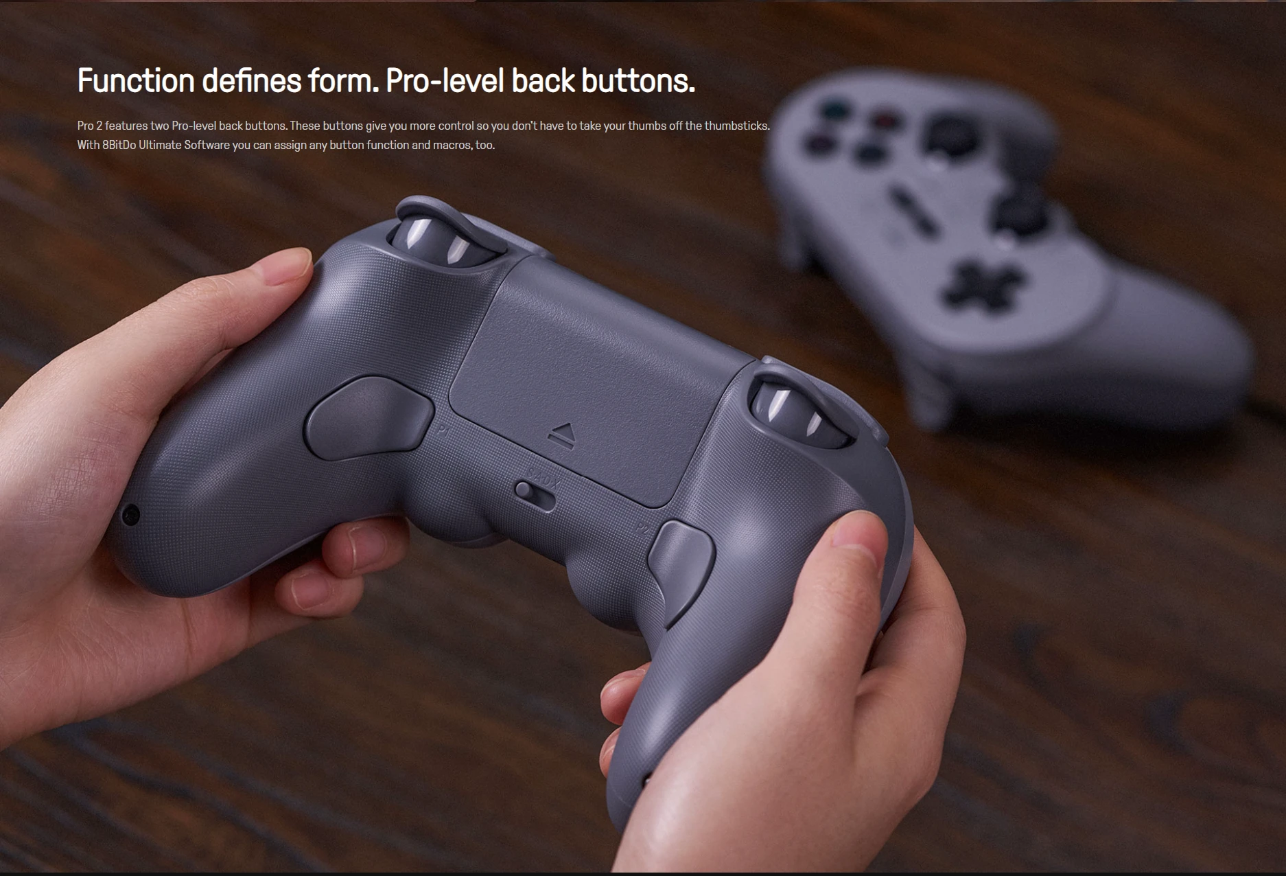 8BitDo Pro 2 pro-level back buttons and macro support