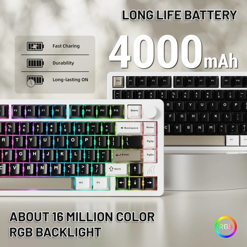 Keyboard Back