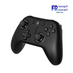 Rapoo V600SE Hall Effect Joystick And Trigger 600mAh 15 Hours Black USB Type C 2.4GHz Wired Gamepad
