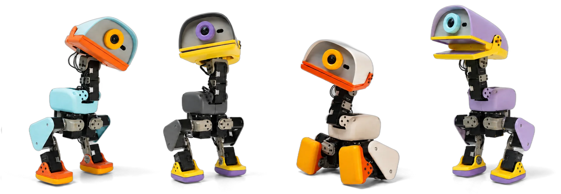 Four Microduck bipedal robots in different colourways, official product image from Pollen Robotics